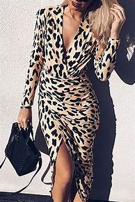 Image result for Elegant Leopard Print Dress