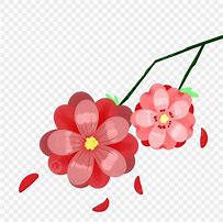 Image result for Cherry Blossom Branch Illustration