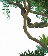 Image result for Jungle Tree with Vines