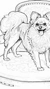 Image result for Pomeranian Dog Coloring Pages