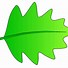 Image result for Grape Leaf Clip Art