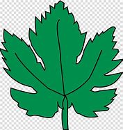 Image result for Grape Leaf Clip Art