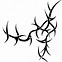 Image result for Thorns On Vines Drawing