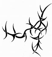 Image result for Thorns On Vines Drawing