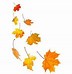 Image result for Fall Leaves Vector Free