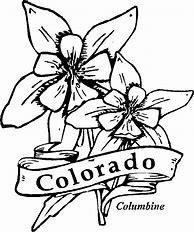 Image result for State Flower Coloring Pages