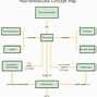 Image result for Nursing Student Concept Map