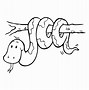 Image result for Branch Coloring Cartoons