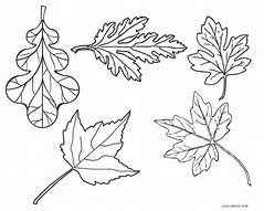 Image result for Fall Leaf Coloring