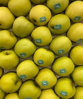 Image result for Golden Apple Fruit Seed