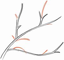 Image result for Tree Branch with Leaves Drawing