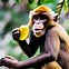 Image result for Brown Monkey Clker