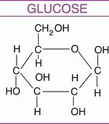 Image result for Elements of Carbohydrates