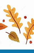 Image result for Birch Leaf Silhouette