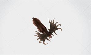 Image result for Megaloceros 3D Print