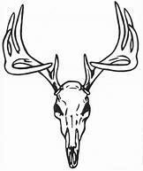 Image result for Mule Deer Skull Clip Art Black and White