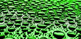 Image result for Green Background Greenscreen