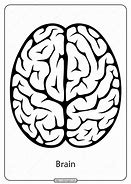 Image result for Brain Coloring Page for Kids