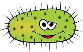 Image result for Food Bacteria Cartoon