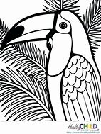 Image result for Tropical Rainforest Animals Coloring Pages