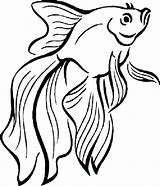 Image result for Tropical Fish Coloring Pages Free