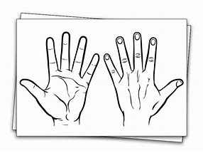 Image result for Blank Hand Diagram