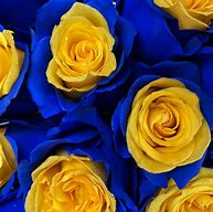 Image result for Beautiful Yellow Rose Bouquet