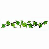 Image result for Ivy Leaf Vine Clip Art