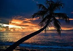 Image result for Summer Night Wallpaper