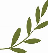 Image result for Curved Olive Branch Green Clip Art