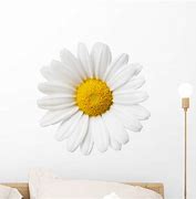 Image result for Daisy Wall Decals