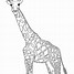 Image result for Giraffe Head Clip Art Black and White