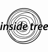 Image result for Looking Inside of a Tree Cavity