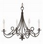 Image result for Branch Cast Iron Chandelier