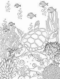 Image result for Sea Life Coloring Pages