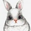 Image result for Cute White Bunny Kawi