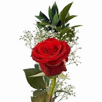 Image result for Single Red Rose for CD Case On Side