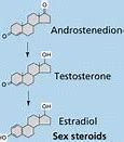 Image result for Dehydration vs Hydrolysis Reaction