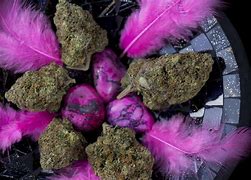 Image result for Pink Kush Strain