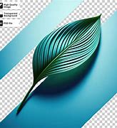 Image result for Palm Tree Leaf Transparent