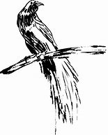 Image result for Bird in a Branch Vector Black