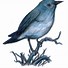 Image result for Drawing of a Bird On a Branch with a Colourful Background