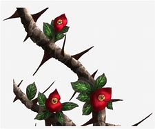 Image result for Thorns On Vines Drawing