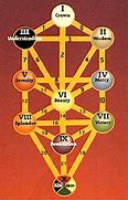 Image result for Life Tree with Hierarchy of Life