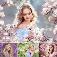 Image result for Tree Branch Border