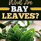 Image result for Bay Leaf for Cooking