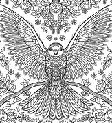 Image result for Zentangle Man Bird Coloring Pages