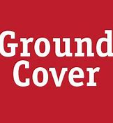 Image result for Green Ground Cover