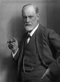 Image result for Sigmund Freud Parent-Child Theory