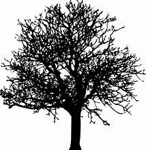 Image result for Tree Silhouette Designs